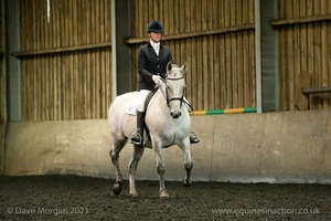 Isis Dressage Crown Farm Show 29th April 2012